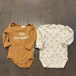 Lot of 2 Rabbit + Bear Organic Baby Bodysuits 3-6 Mos Hey Pumpkin Cherry‎ Print
